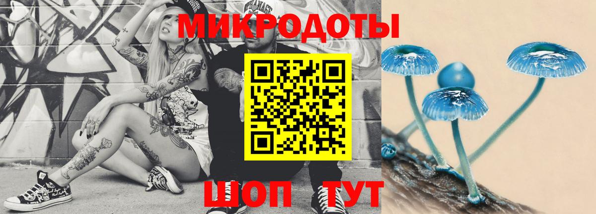 Псилоцибиновые грибы Magic Shrooms Тамбов